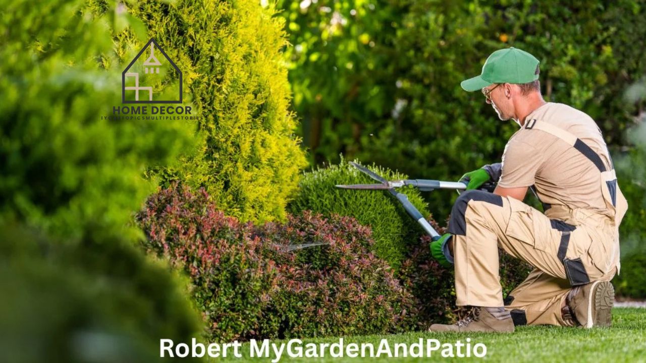 Robert MyGardenAndPatio Background, Career, and Insights