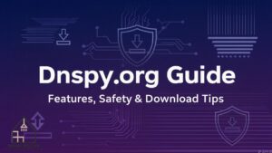 Dnspy.org