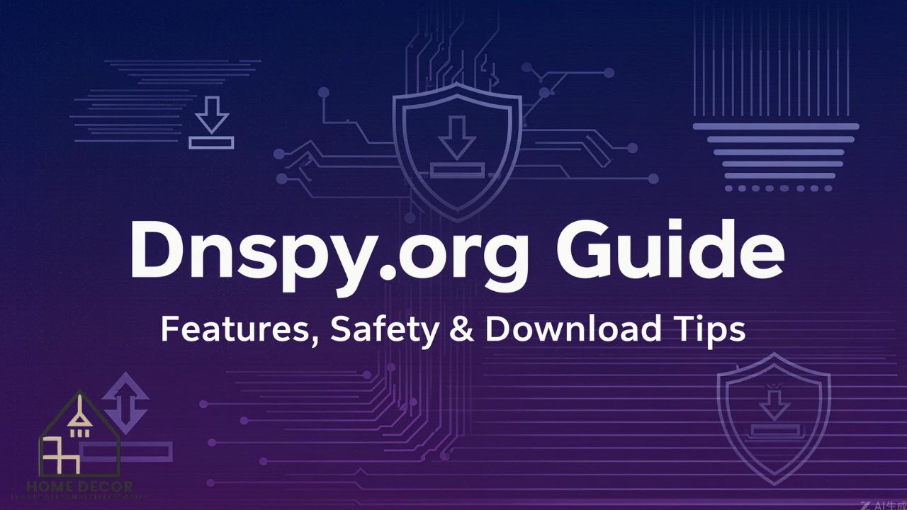 Dnspy.org